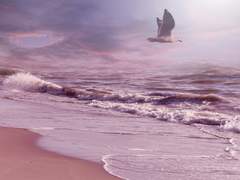 [도세안] 파도의 경계에서