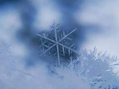 [해은] 나의 여름