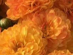 반드시 오고야 말 행복