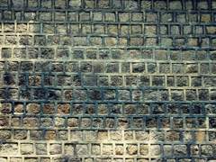 제 14강) 신종 자살 클럽