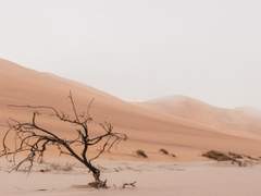 초단밀레] 조개껍데기는 녹슬지 않는다