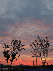 서울경기지부 이능센터