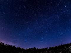 선생님, ...듣고 싶지 않으신 건가요?