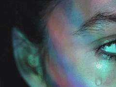 나뭇가지에 피어나는 튤립 ep.6