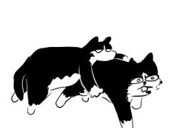 2015-2021 고양이만화