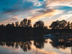 세상에서 가장 멍청한