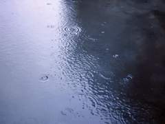 이곳은 늘 비가 내렸고, 오늘 역시 어김은 없었다.