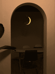 연성 교환 및 선물