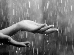 커미션 [키네시타검마]