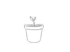 [베타 윌로우] 관찰일지.