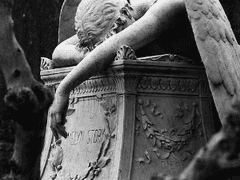 세상에 잊혀진 이름 모를 신의 숨겨진 과오.