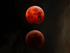 [BL]Vampire & Werewolf. -one.