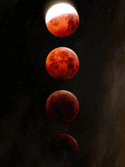 [BL]Vampire & Werewolf.