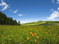 낙원으로 가는 열차를 탄 미술과에게 온 롤링페이퍼 같은 편지?