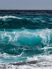 단편소설 초고 및 완성