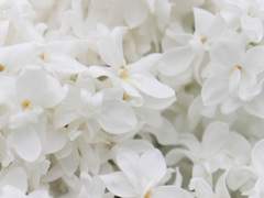 누군가를 위해 눈물을 흘린다면