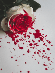 DBD 살인마 자료