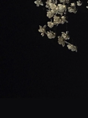 [나츠메 우인장] 마토나토 단편선