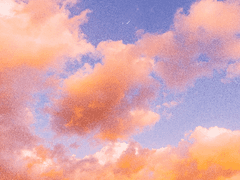 수줍고 대담한 태양에 기꺼운 입맞춤을