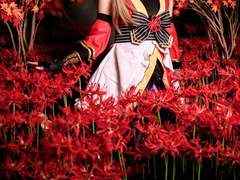 -Love Live!- 忍者觉醒ver [南ことり]