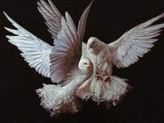 잊혀진 그 노래의 도입부