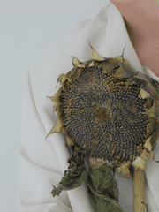 (2017시리즈)안단테 에스프레시보