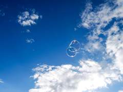 2학년 정 휘 자기소개서