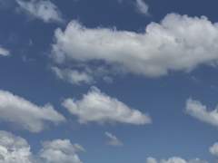 그냥에는 평소보다 조금은 더 많은 말이 뒤따랐대