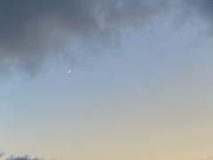 좌우지간 아름다울 것들