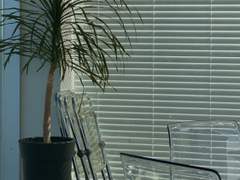 바람마다 향이 다르다는 걸 당신도 알까요