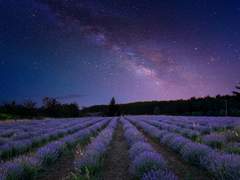 별을 삼킨 아이