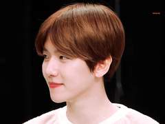 [백도] 남팬의 이중생활 16