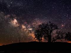 꿈 속에서 보내는