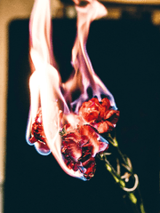 [드레해리] 나의 자리