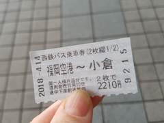 반딧불이 모여드는 숲