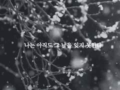 Can it be a reason to love you?