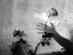 [슙진] 그래도 이승이 저승보다 낫다고 말한다면,