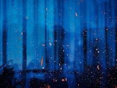 너까지 좋아하게 되었는걸