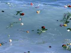 파도가 너무 아름다웠던 탓이고