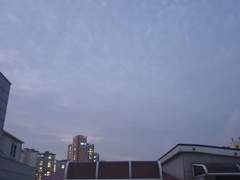 까먹고 안올렸던것