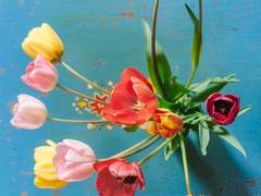 차희망 XX 1학년 자아넨종(염소)