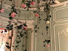 𝐂𝐨𝐦𝐦𝐮 𝐋𝐢𝐬𝐭