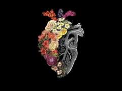 [KV/RV] 쌍생아(雙生兒)_0