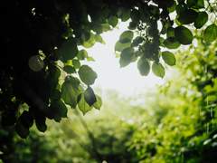 모든 것이 생명일지니