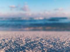 [소설 C타입] 자캐 커플, 멸망한 세계의 여행자들 (12,268자)