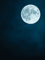 달의 역린에 기대어