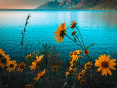 [소설 C타입] 마기로기 서공·외전 PC 페어 (8,900자)