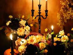 [소설 C타입] 자작 캐릭터 개인 로그 (27,375자, 회지 사양 작업)