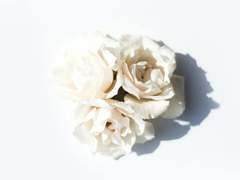 [소설 C타입] 세포신곡 DLC 기반, 세오도아 & 사네미츠 (8,268자)