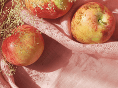 [성인BL] 사과밭 #8